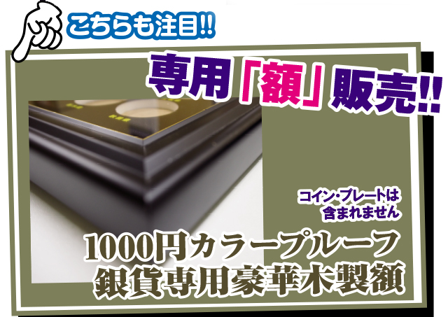 1000±ß¥«¥é¡¼¥×¥ë¡¼¥Õ¶ä²ß¹ë²Ú³ÛÁõ¸ÂÄêÈÇ
