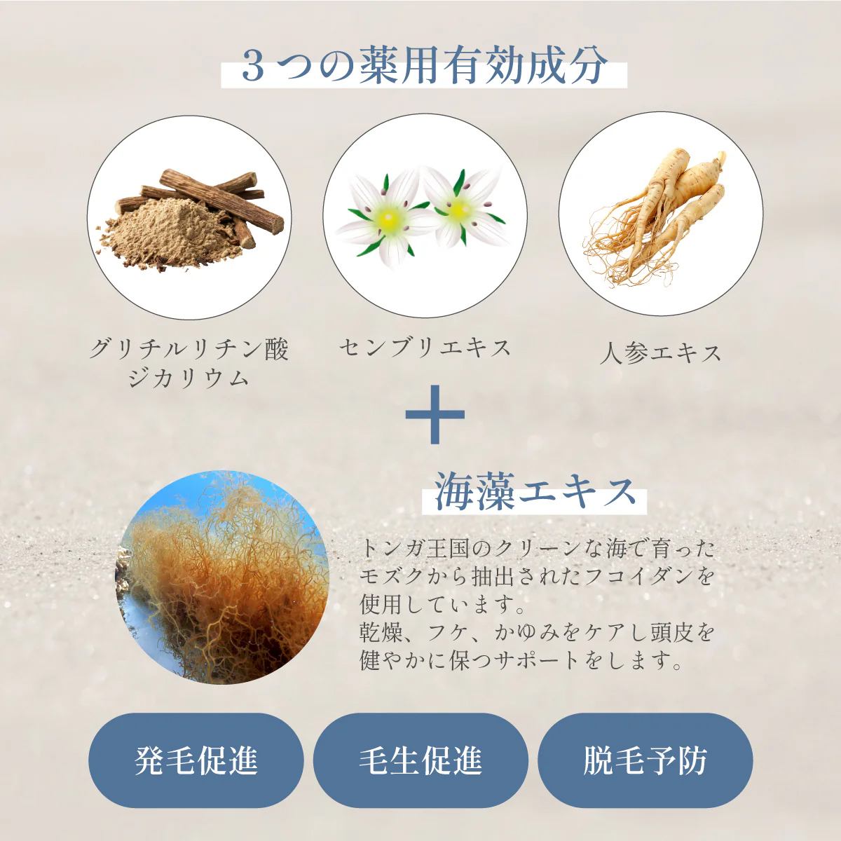 フエルダン スカルプケア