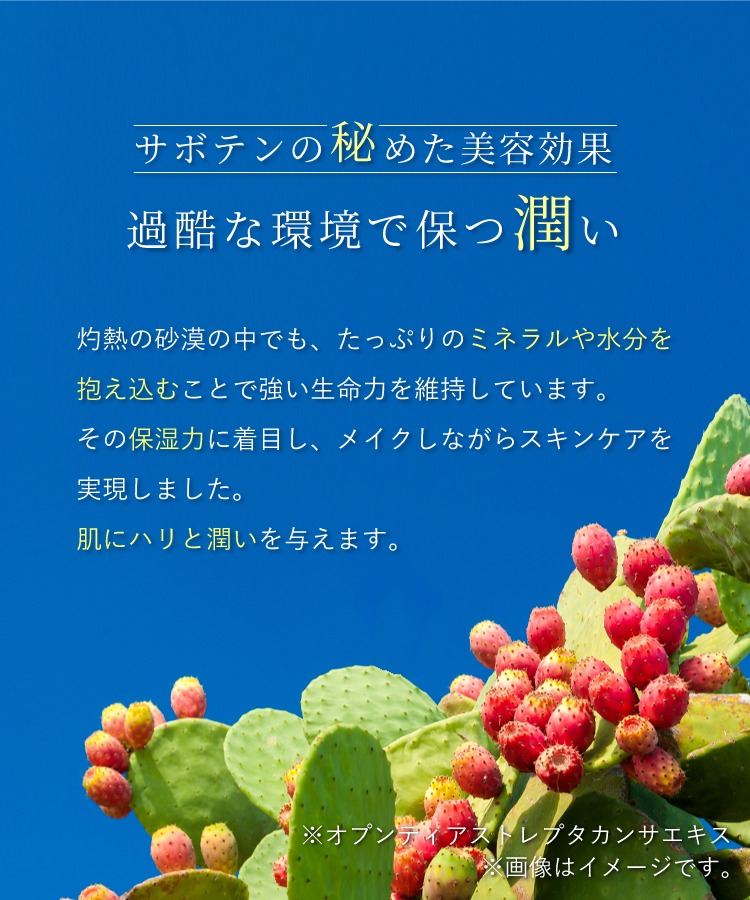 nopa マイベストカラーファンデーション