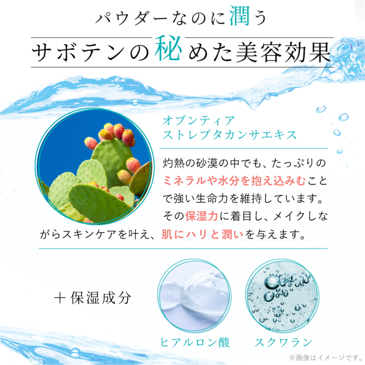 nopaルースパウダー