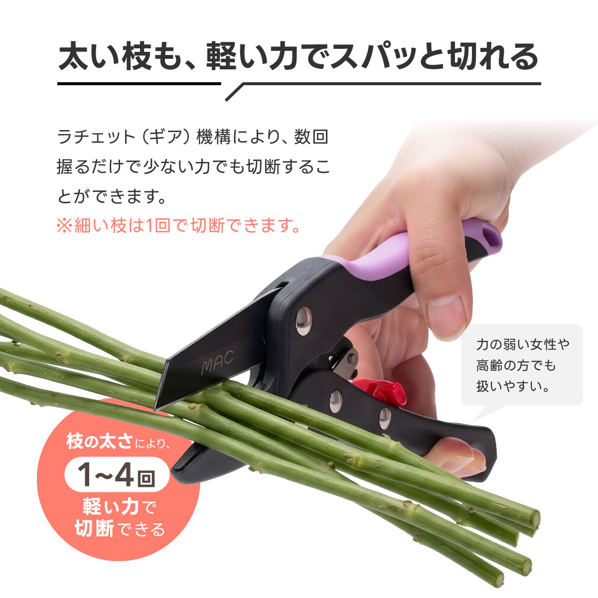 ラチェットパワー 本体のみ