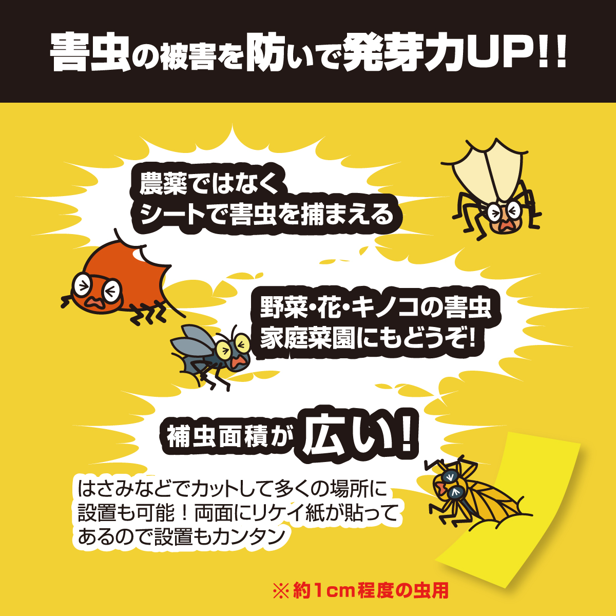 吊るしてGET虫