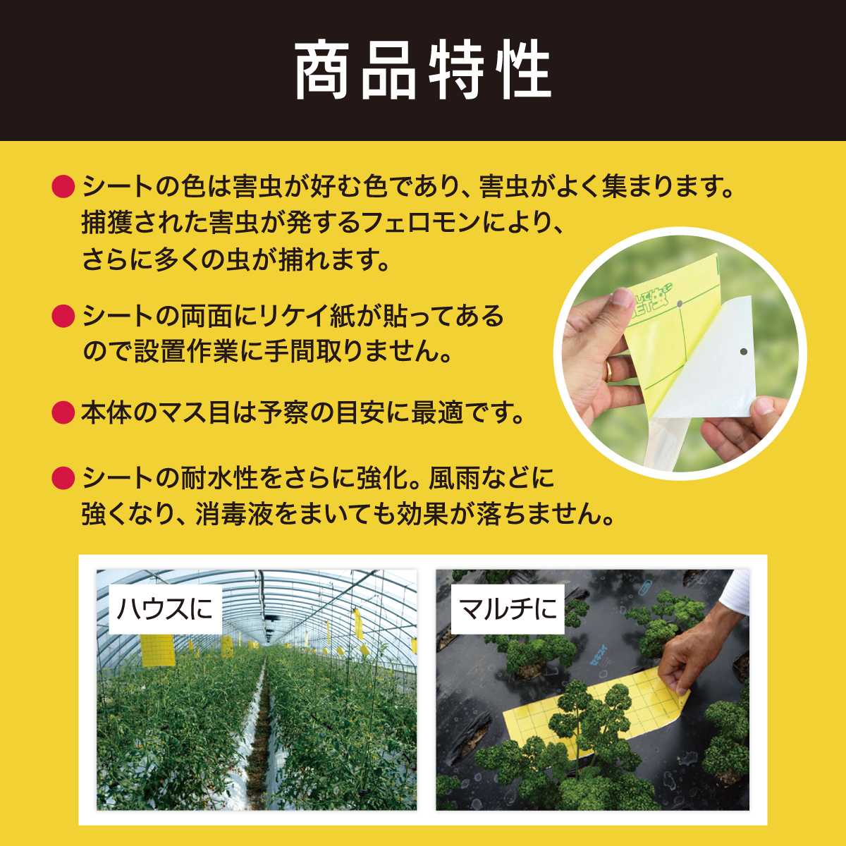 吊るしてGET虫