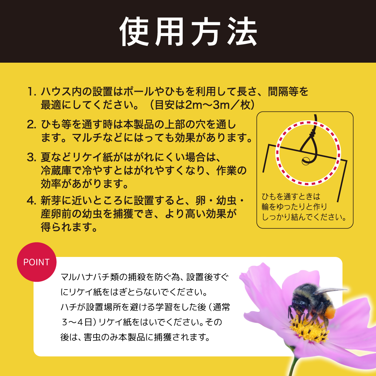 吊るしてGET虫
