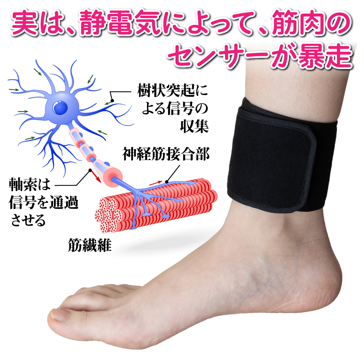 脚ツランワイドプラス