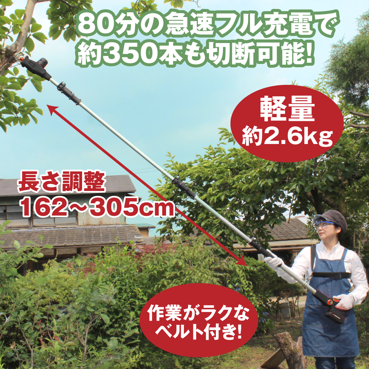 ARD FORCE 3mブラシレス高枝電動のこぎりPro