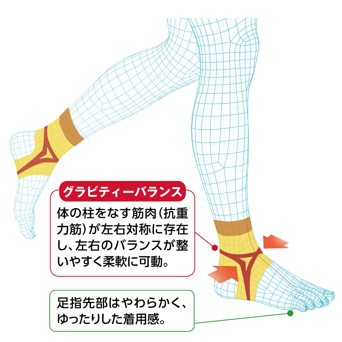 〈BODY POINT〉グラビティーバランスソックス