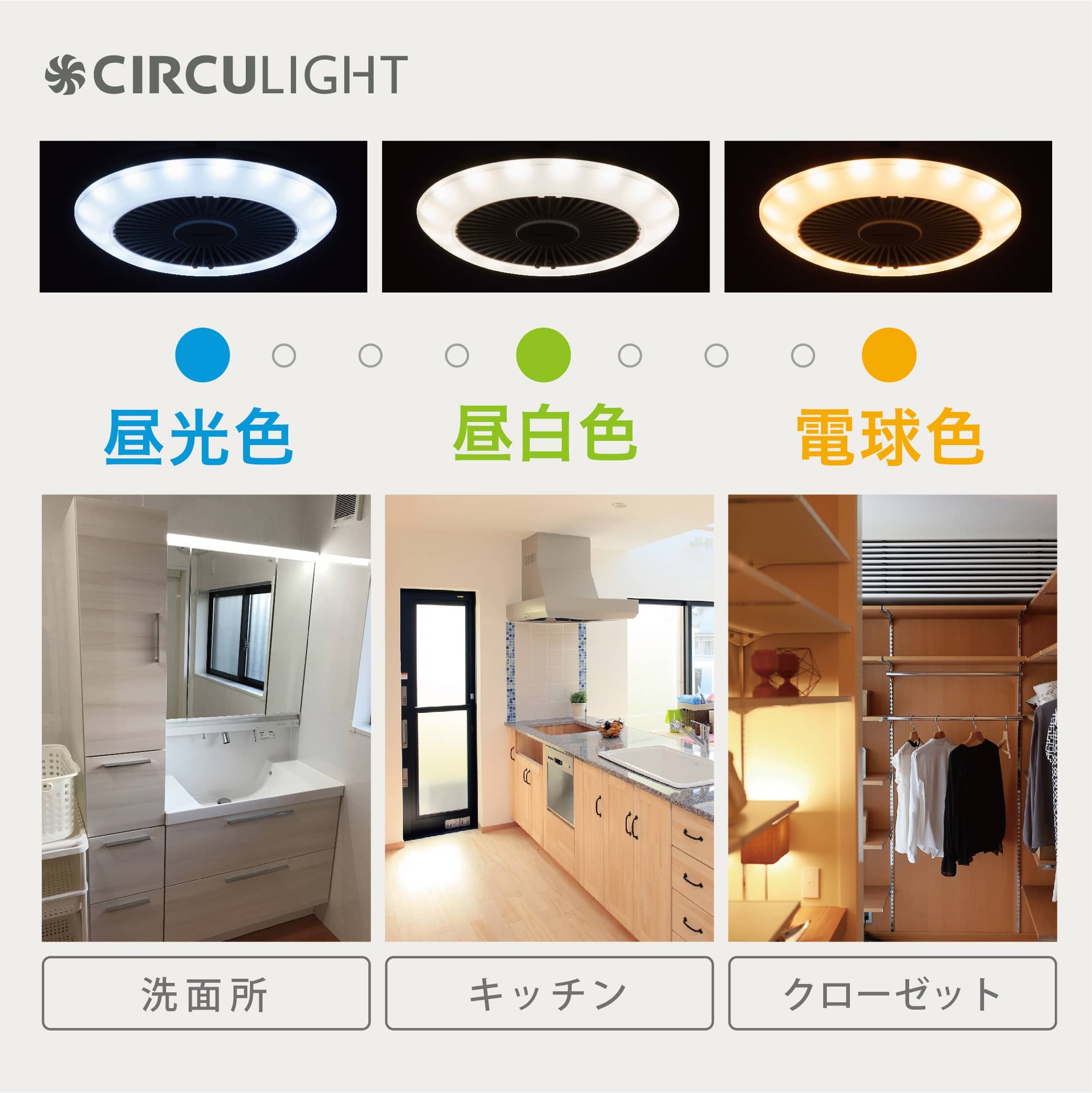 CIRCULIGHT サーキュライト