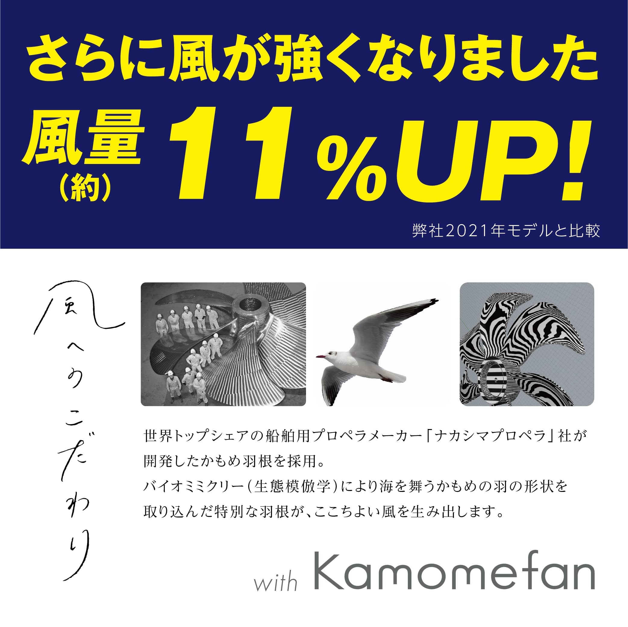 CIRCULIGHT サーキュライト