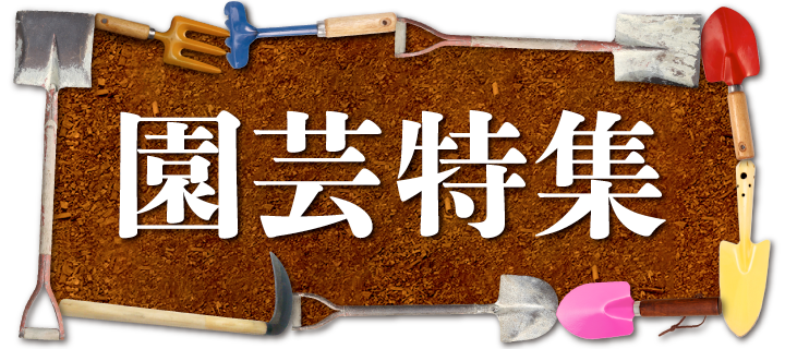 日本製あたたか裏起毛抗菌防臭加工パンツ2色組│身近な優れものショップ